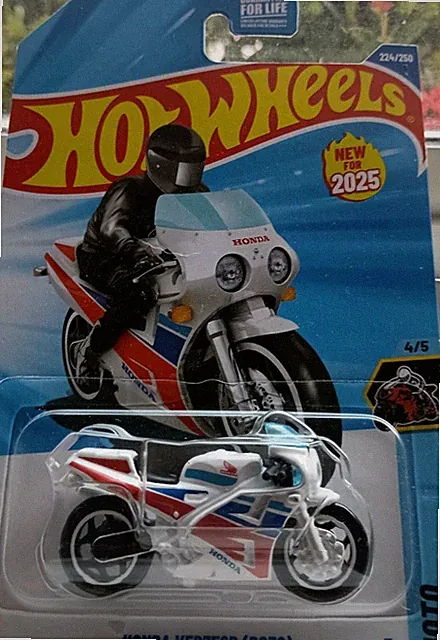 750 & above Adult